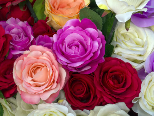 Flowers for the Kent Musical